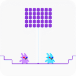 Bunny Graduation Double